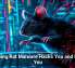 Laughing Rat Malware Hacks You and Mocks You