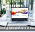 Rethinking Spreadsheets in Business